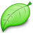 Green cleaning